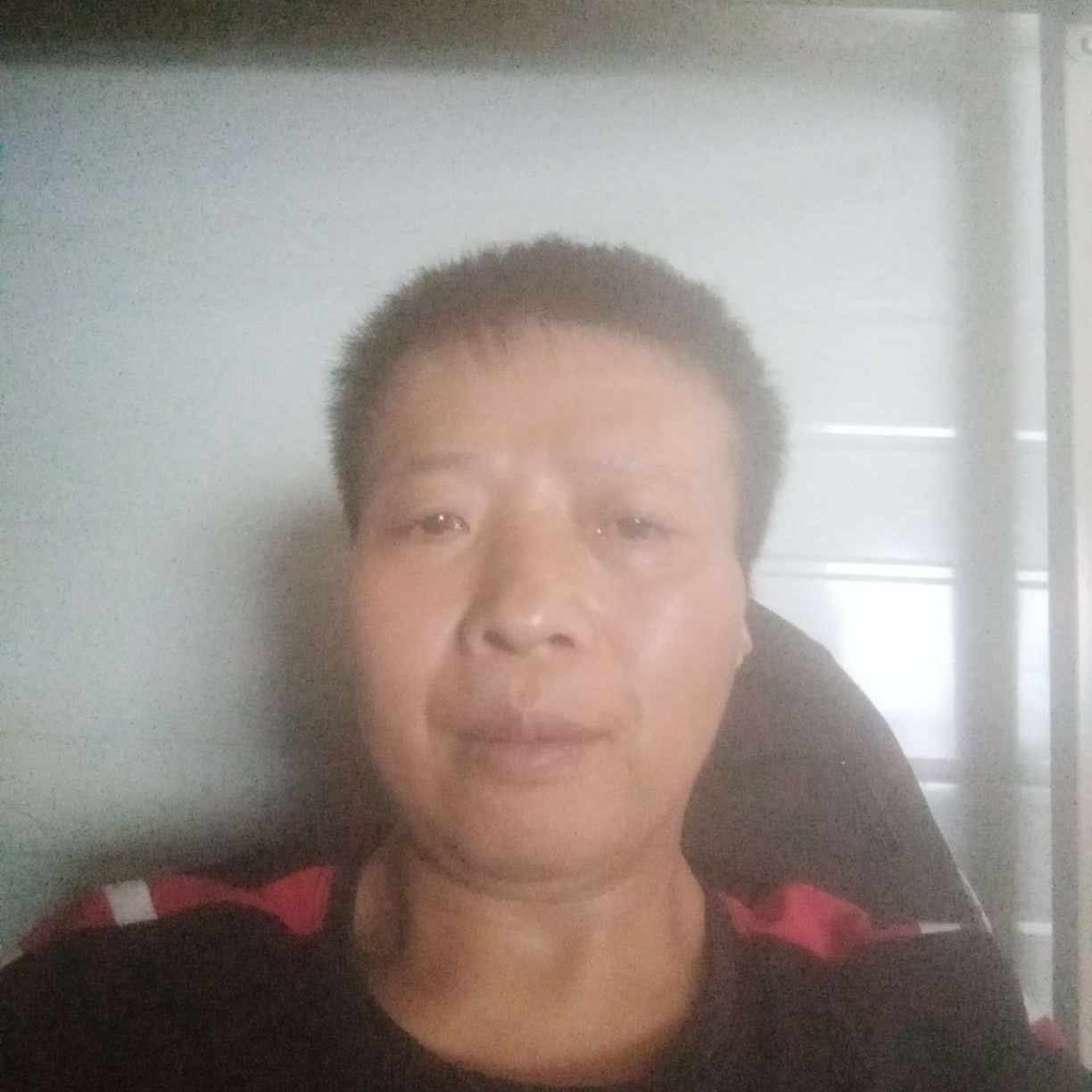 多情邂逅荷花的照片