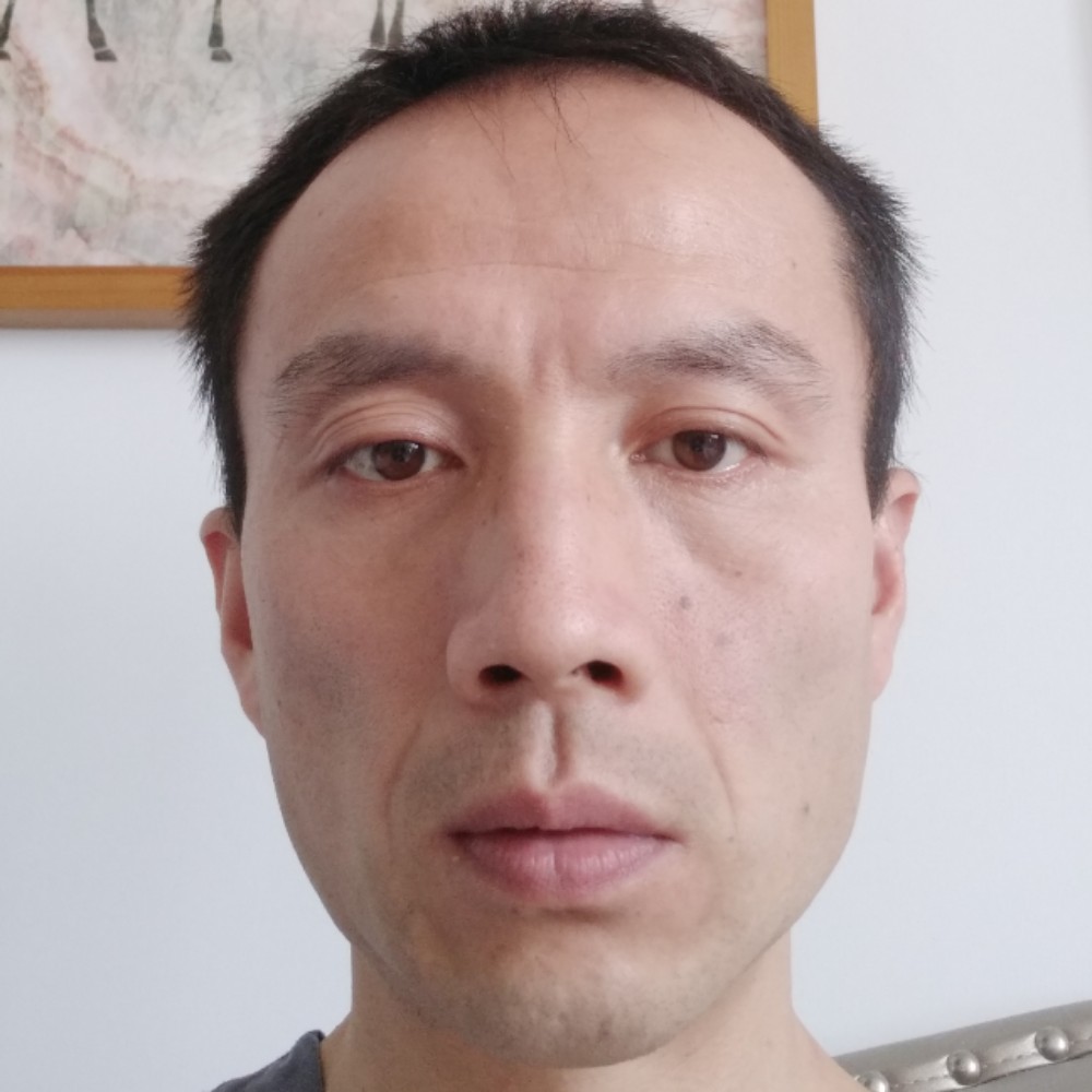 数据典雅的照片
