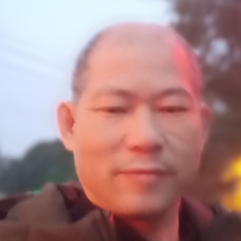 鸡爱恋光亮的照片