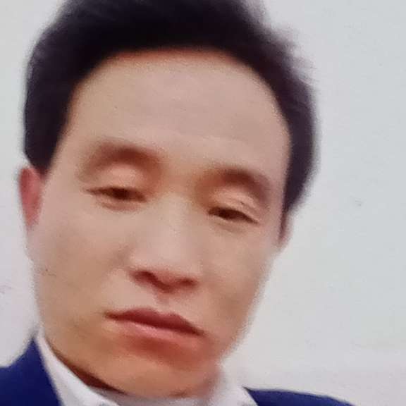 小鸽子相许仁爱的照片