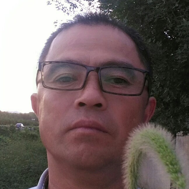 爱撒娇便当的照片