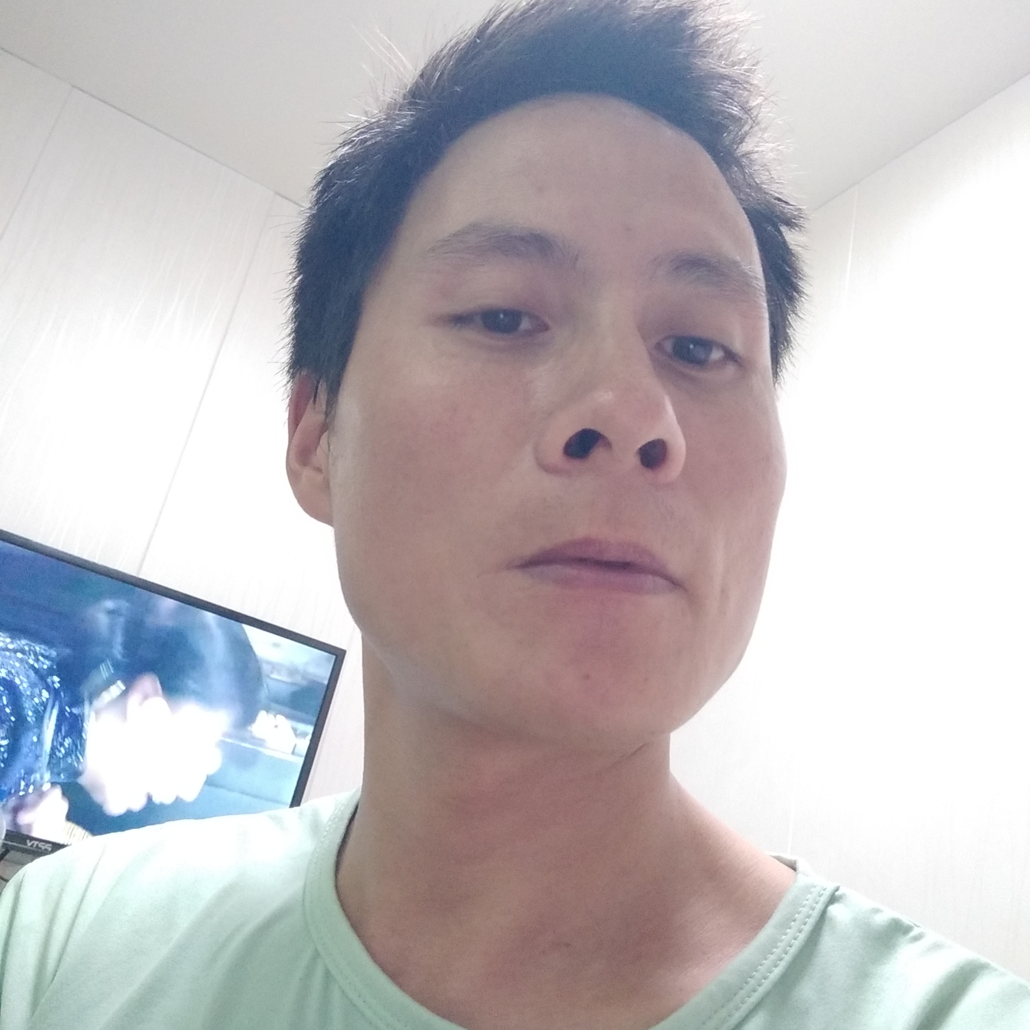 大象蹙眉友好的照片