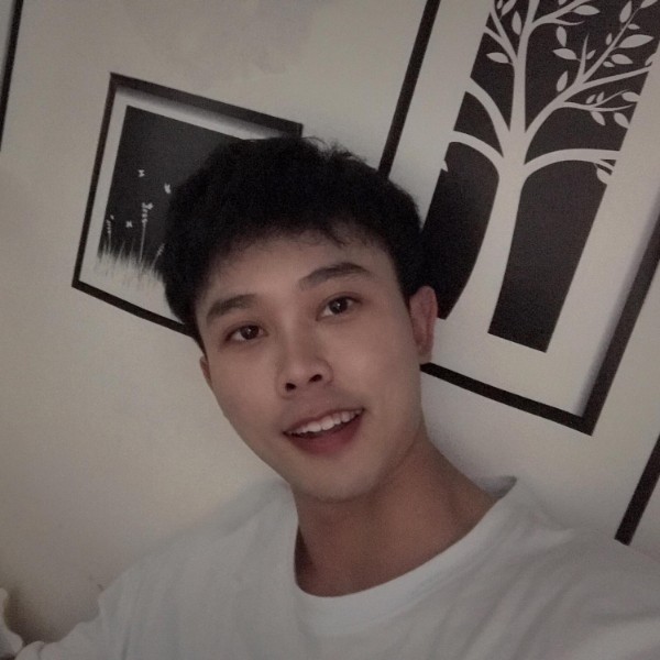 橡树的绿叶ya的照片