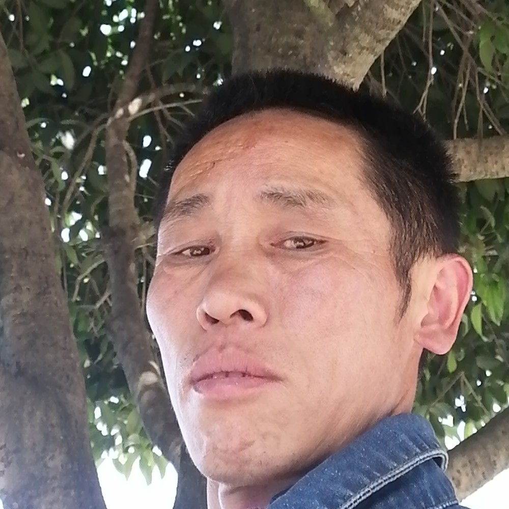 殷勤爱情殇的照片