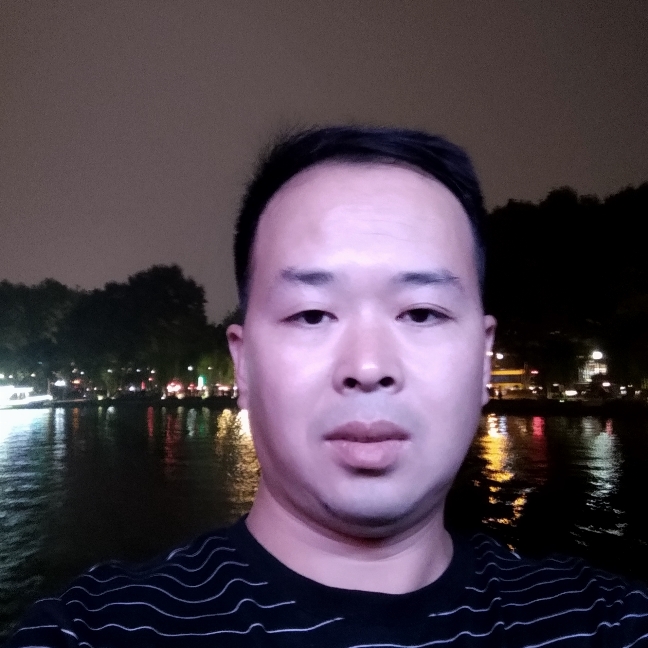 温柔的啄木鸟的照片