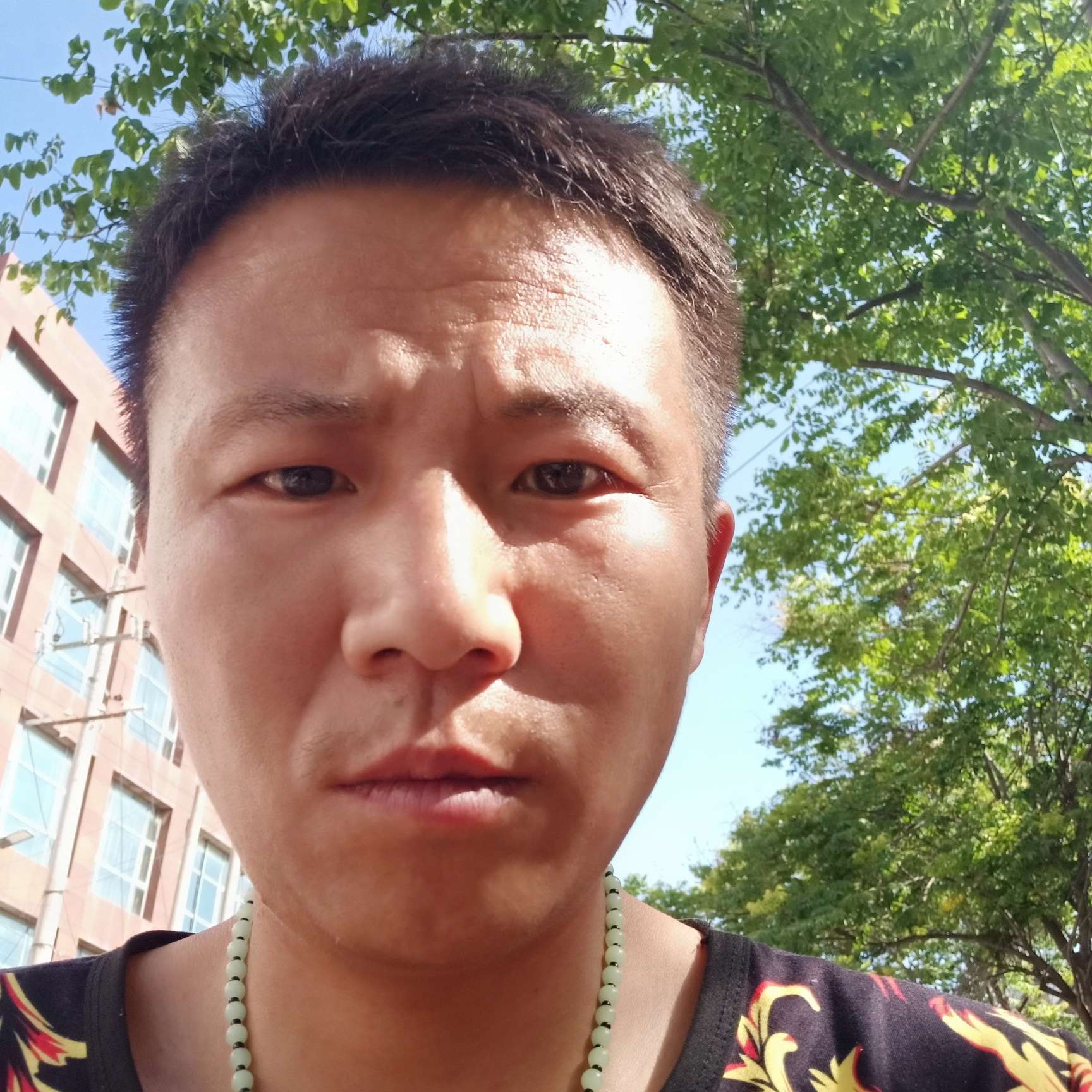 无语凝眸猫咪的照片