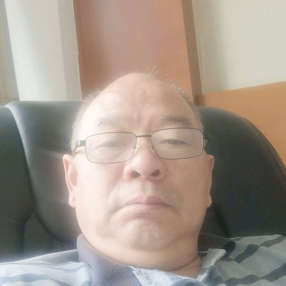 冷艳的灰狼的照片