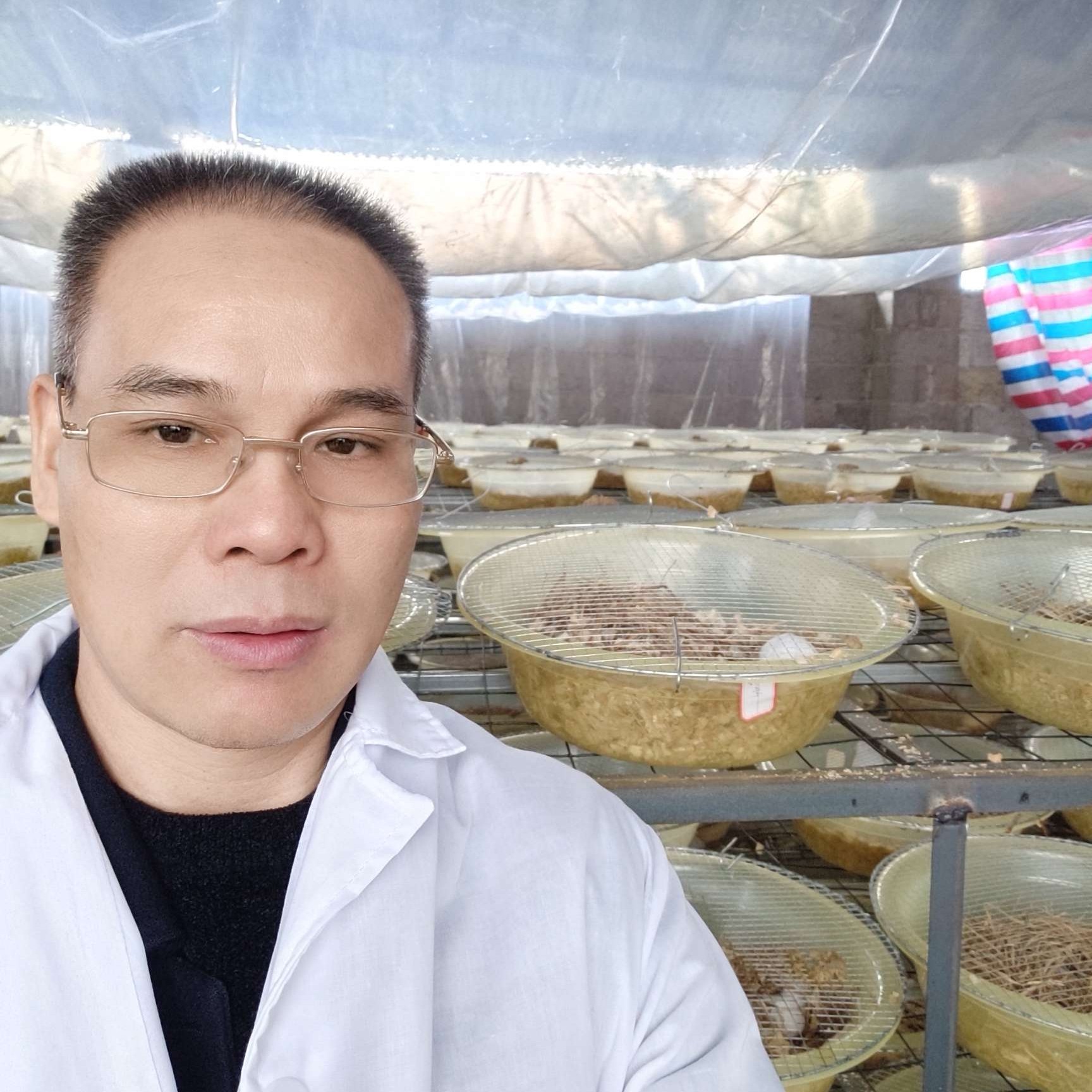 还单身用老鼠的照片