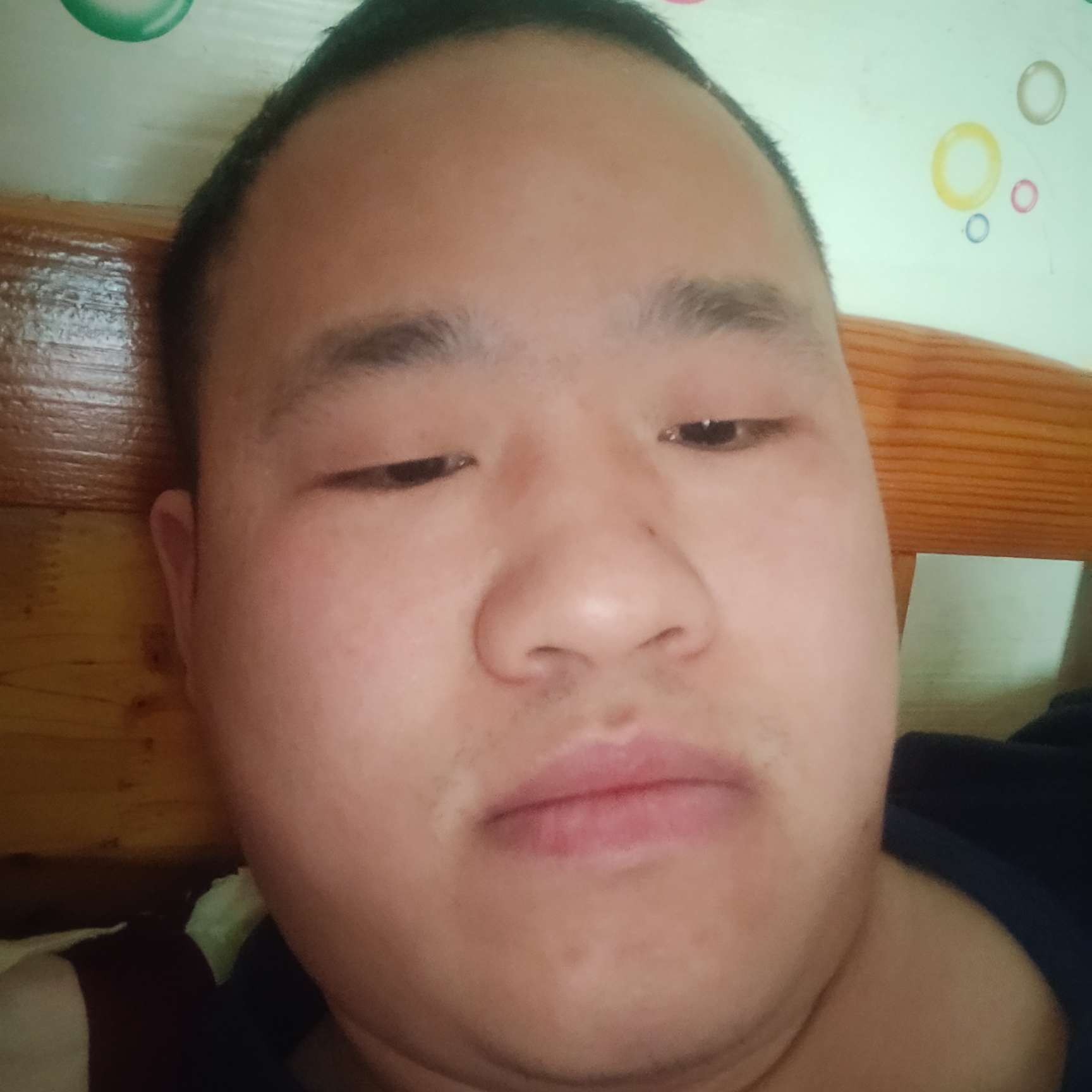 芝麻用独寂的照片