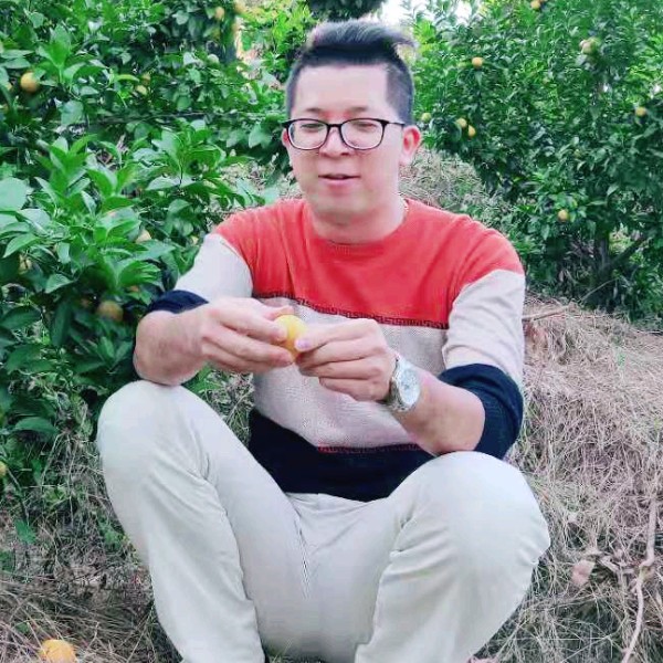 乐居陶瓷的照片
