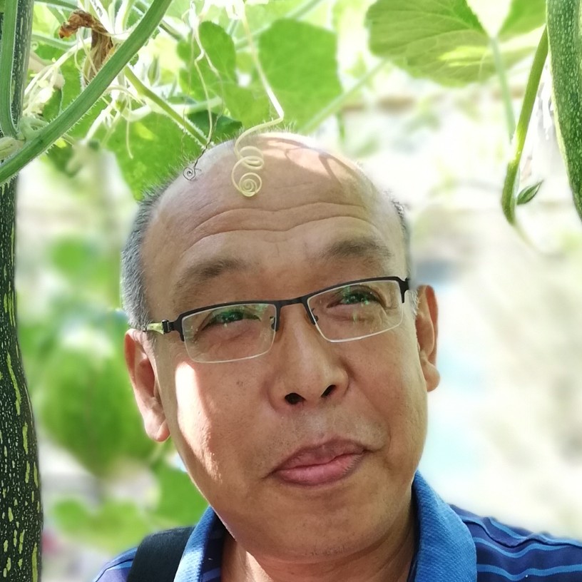 龙猫哭泣的照片