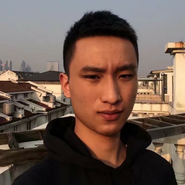 朴素羽毛的照片