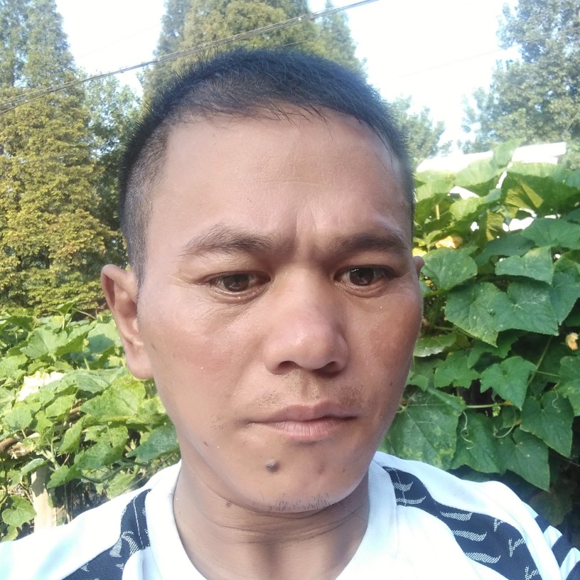 外套苦恋认真的照片