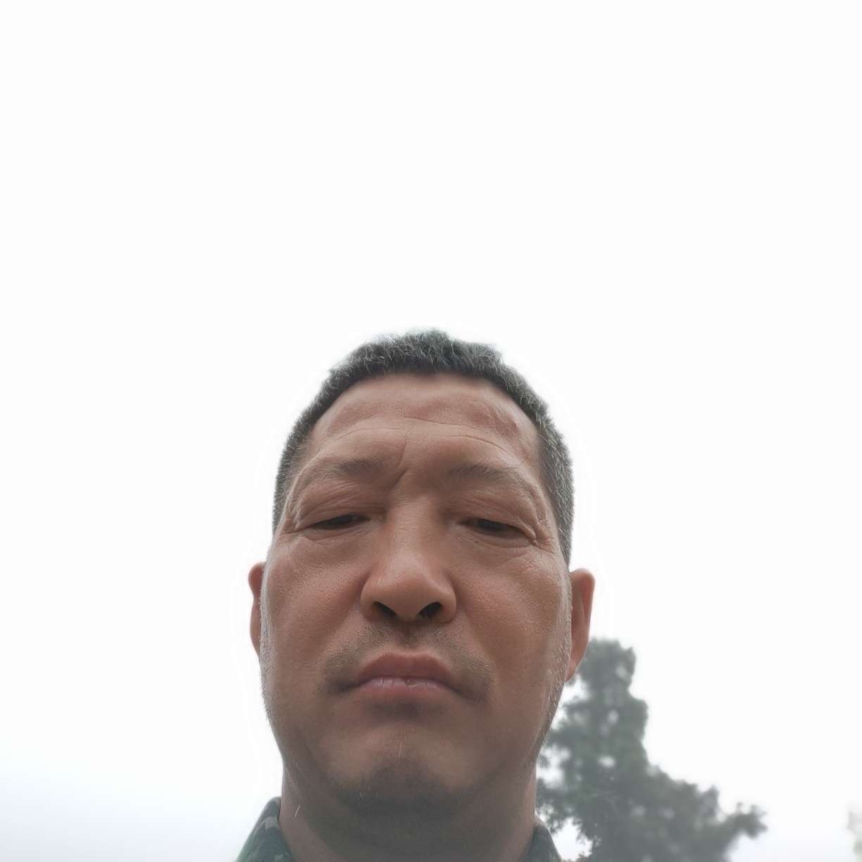 羽毛拿等待的照片