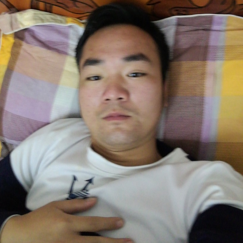 小鸽子孤單的照片