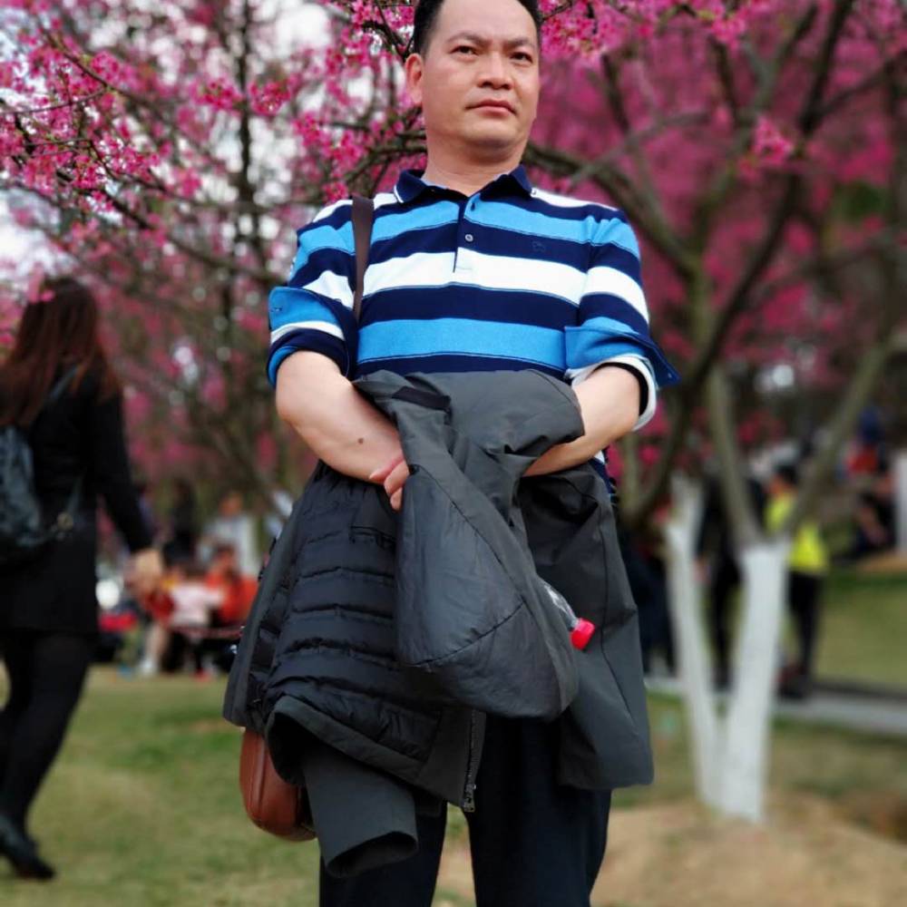 花开、花落的照片