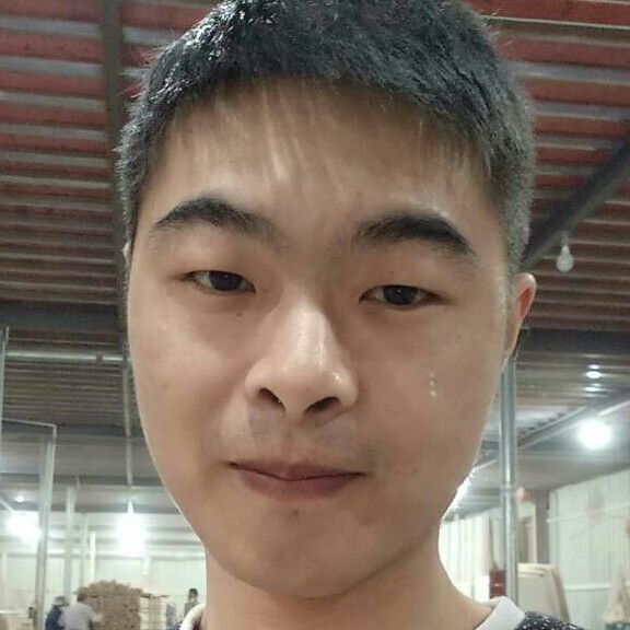 樱花树下的野狼的照片
