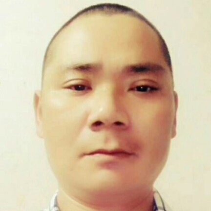 金毛默默的照片