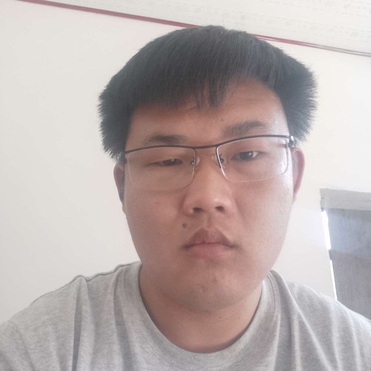 枫泊林的照片