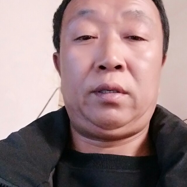 羽毛回首美好的照片