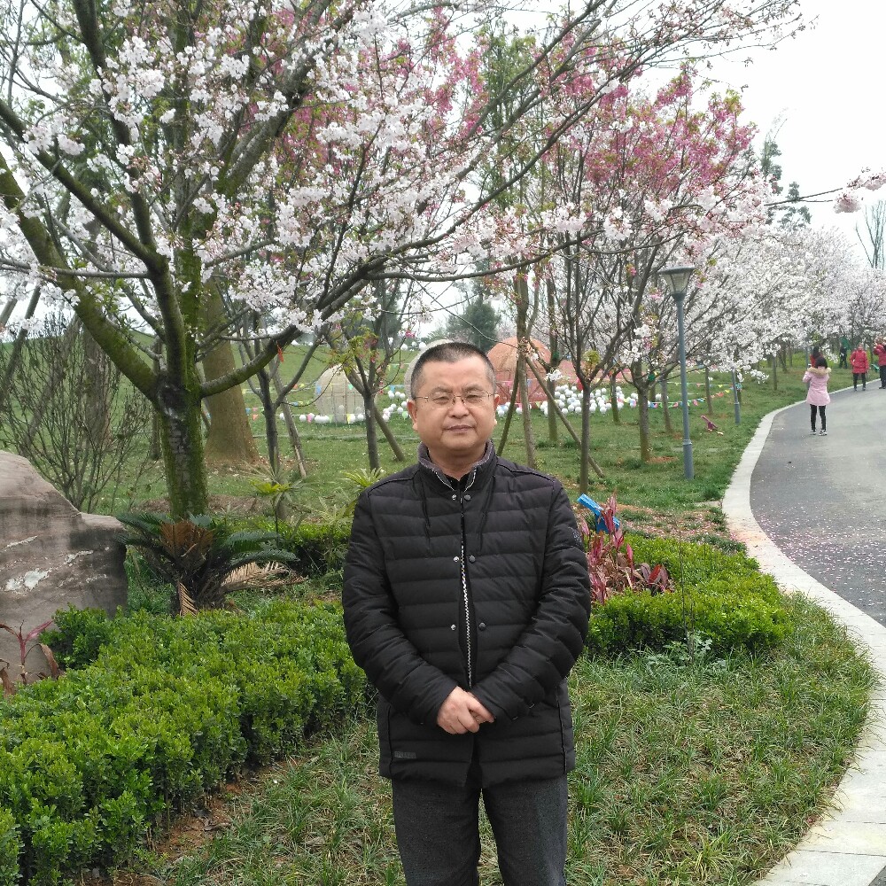 生活中的的照片