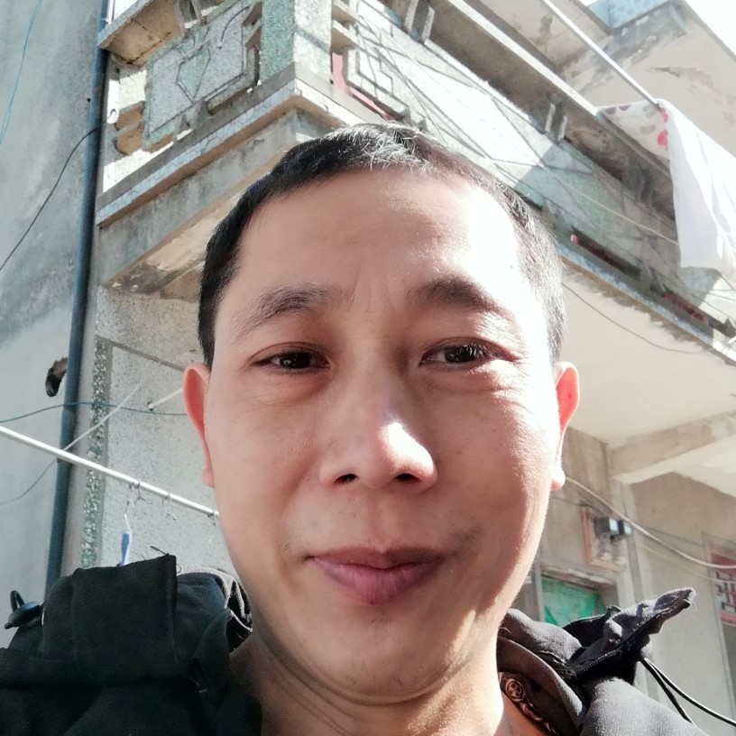 秋枫飘叶的照片