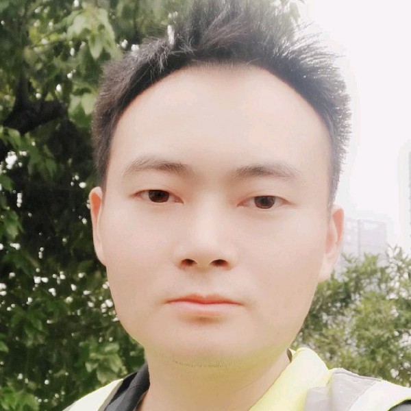 孤独的树的照片
