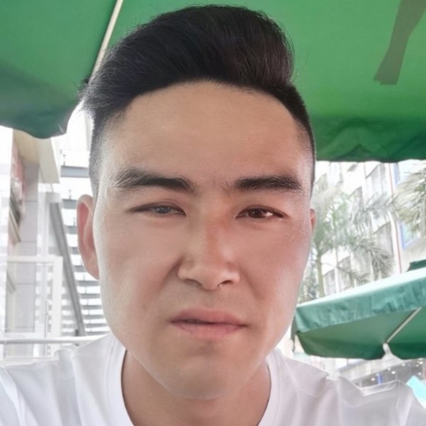 寒冷等于向日葵的照片