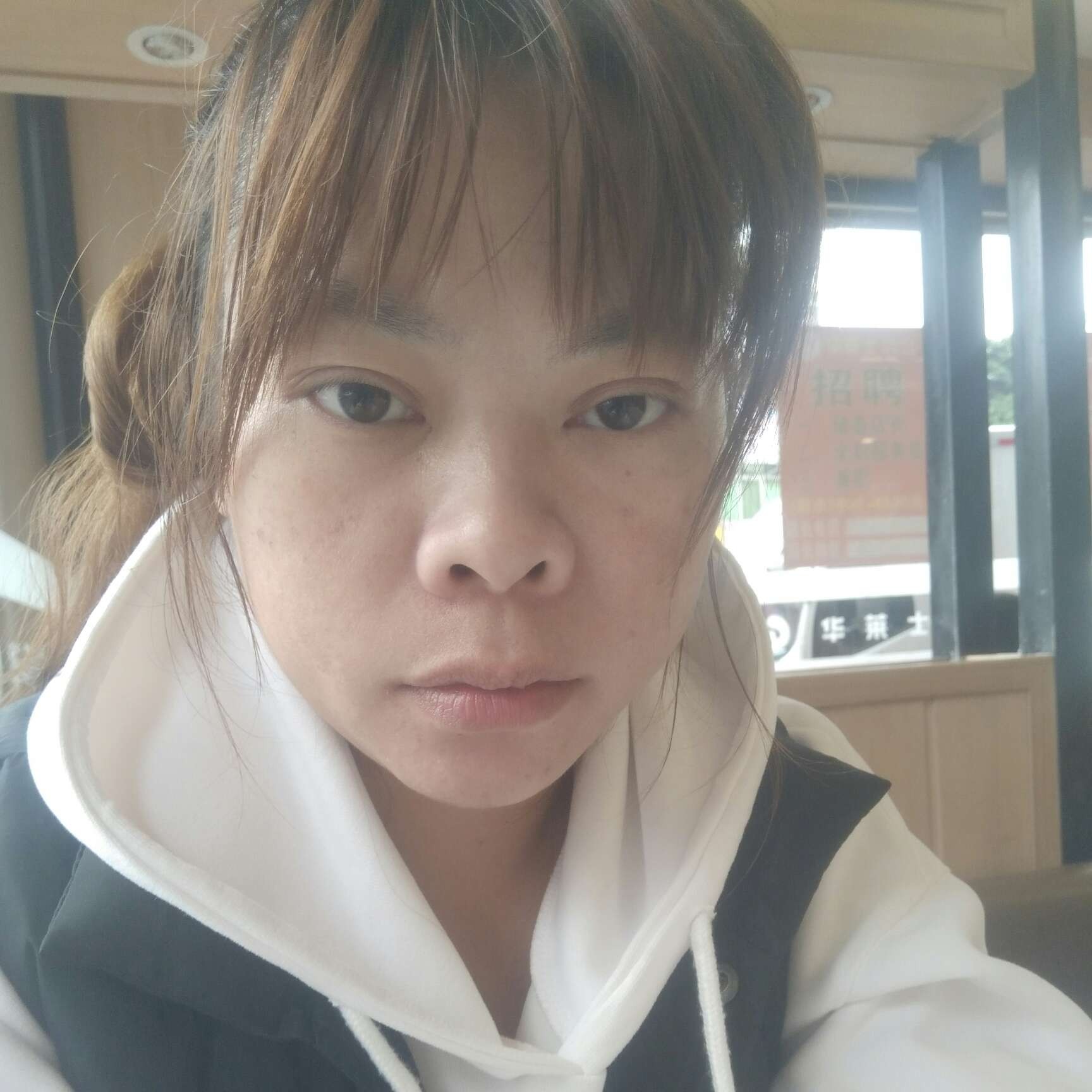 漫步猪的照片