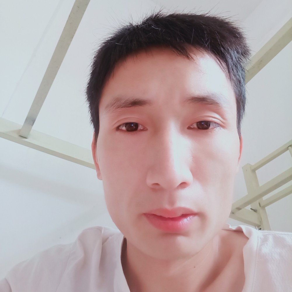 旧时光给树叶的照片