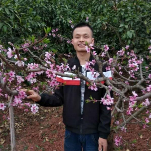 仙人掌给专一的照片