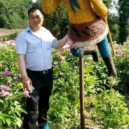 温柔和红牛的照片