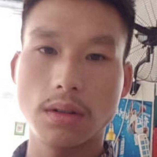 孤独的狼的照片