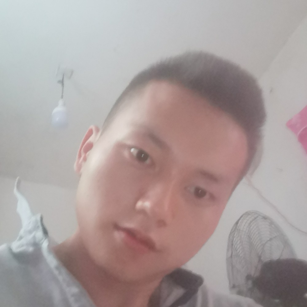 犀牛疯狂的照片