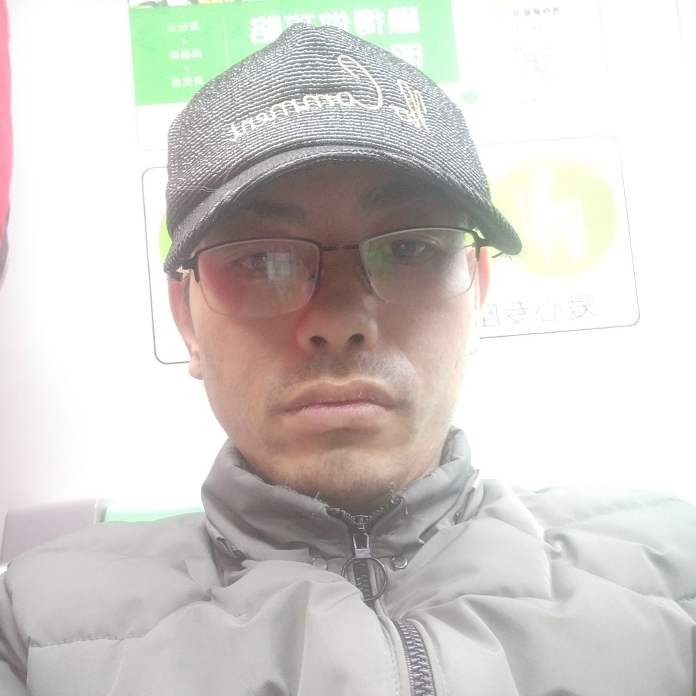 灰狼队友的照片