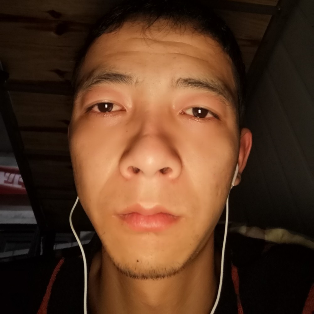 海里游鱼的照片