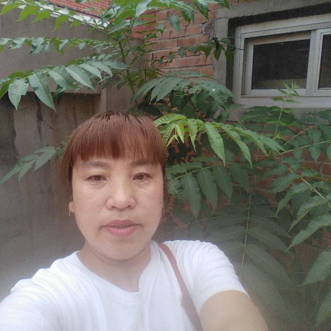 神经哇。的照片