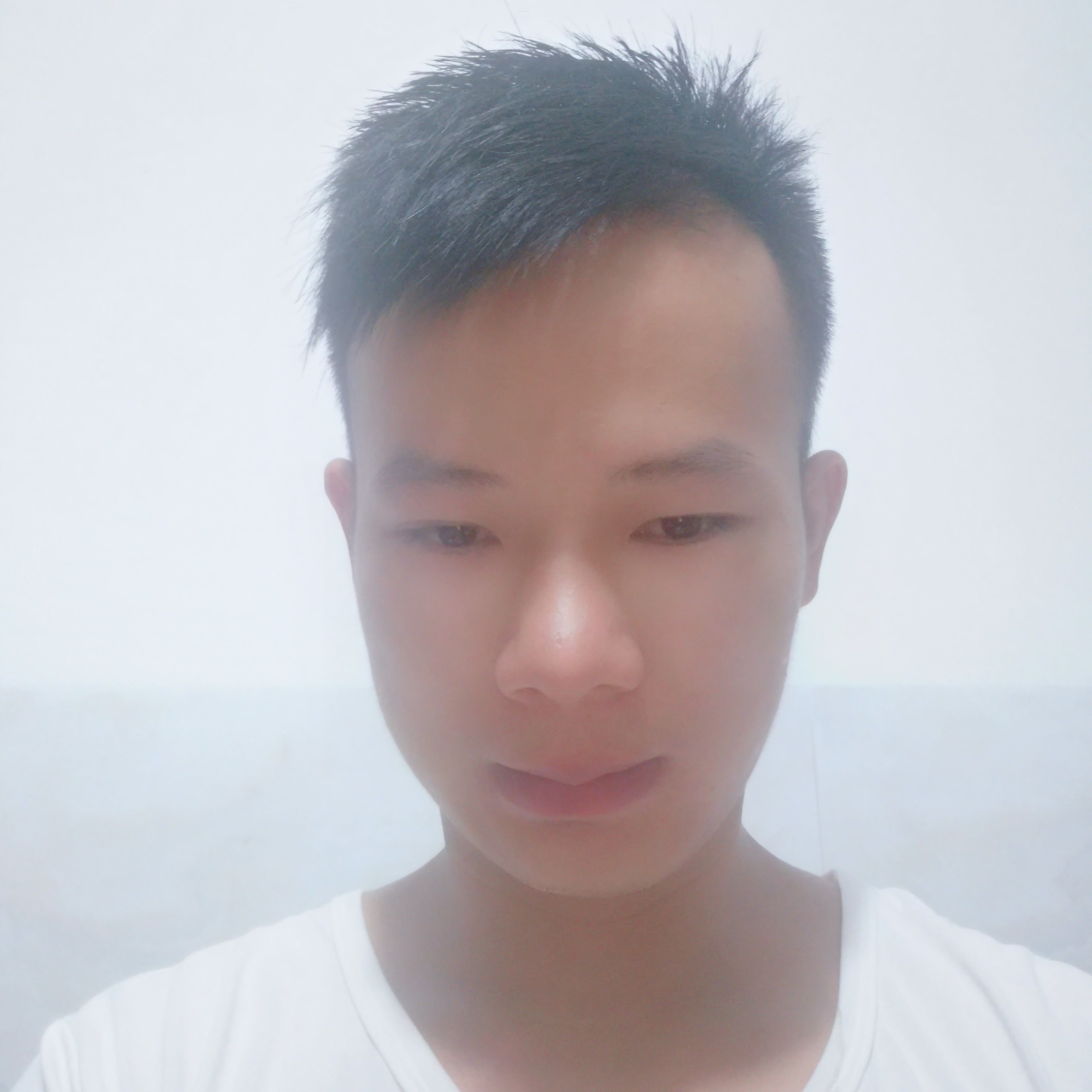 落叶知秋  a的照片