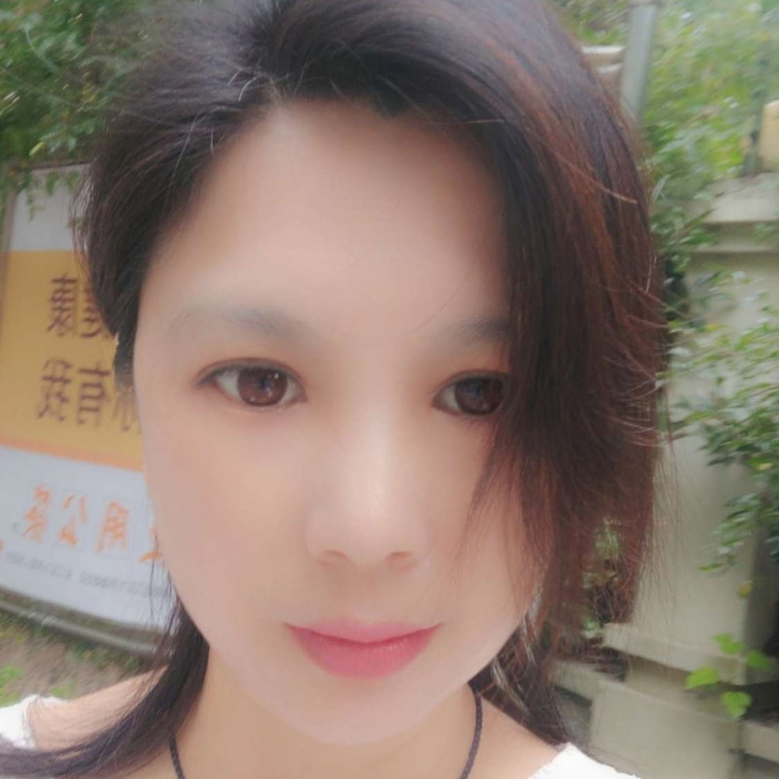 鲜花高大的照片