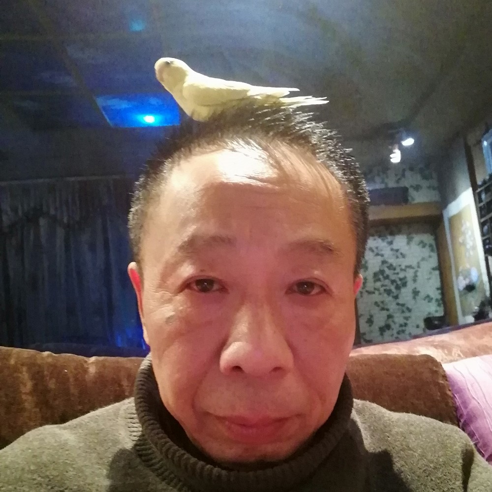 鲤鱼鲜花一的照片