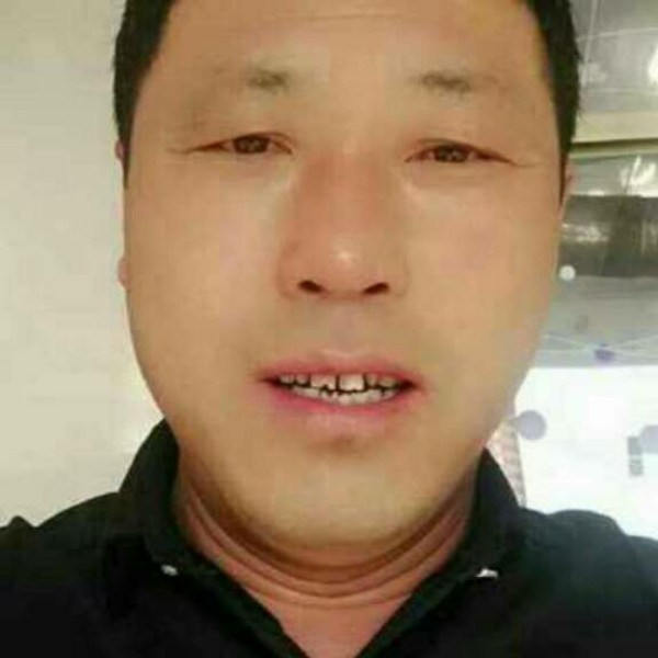 安详鸵鸟的照片