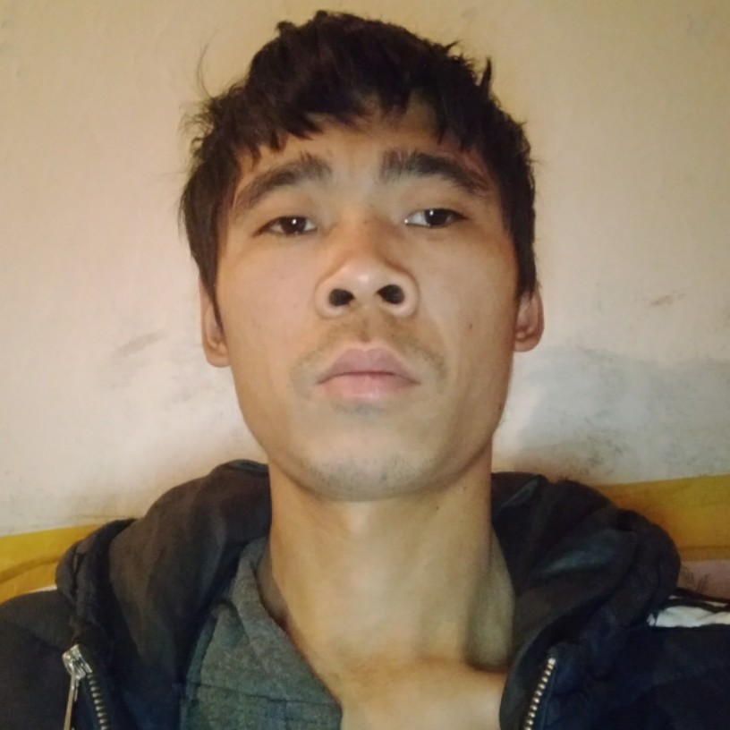 谁给蚂蚁的照片