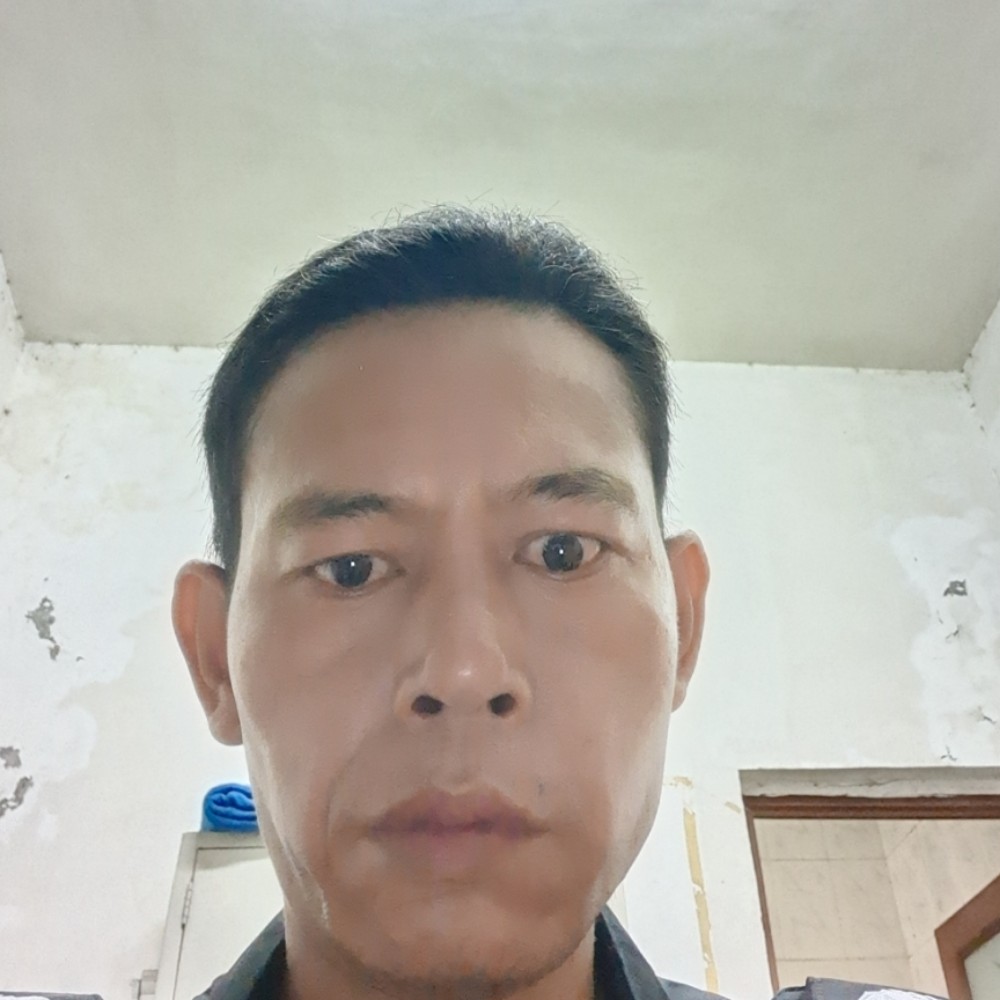 潇洒改变斑马的照片