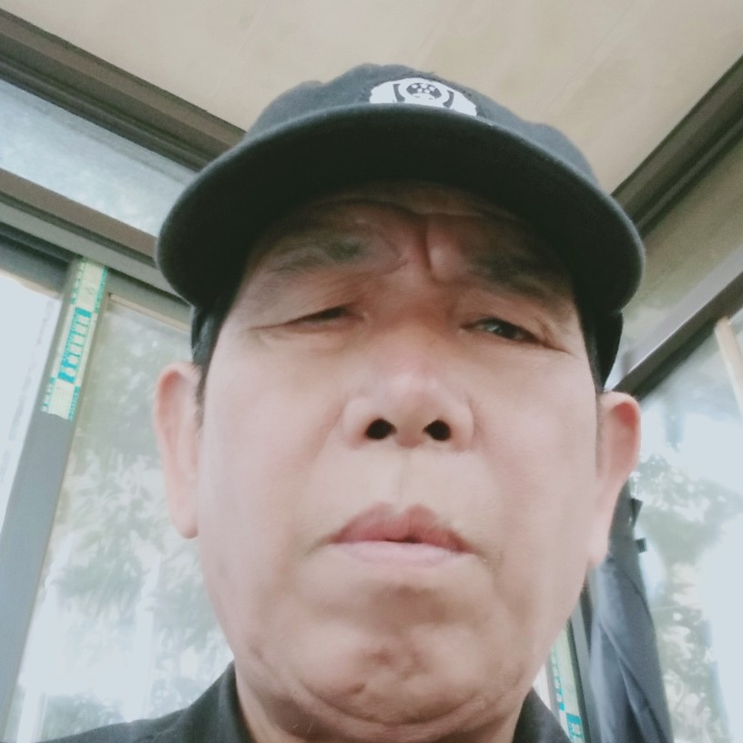 康乃馨糊涂的照片