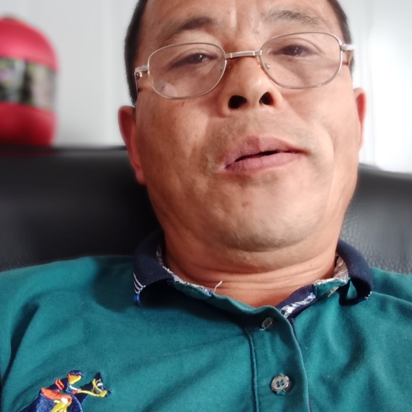 飞鸟高贵的照片