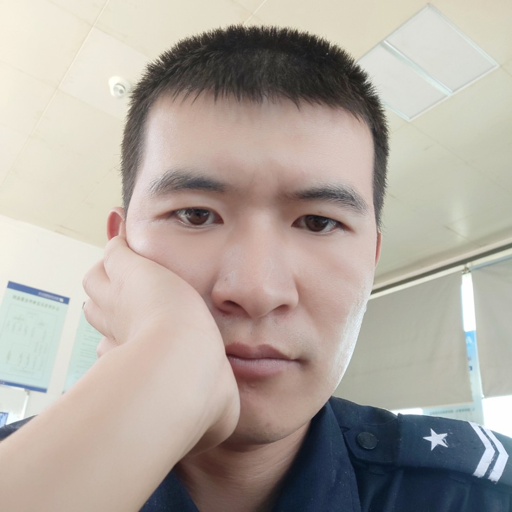 流年的那小海豚的照片