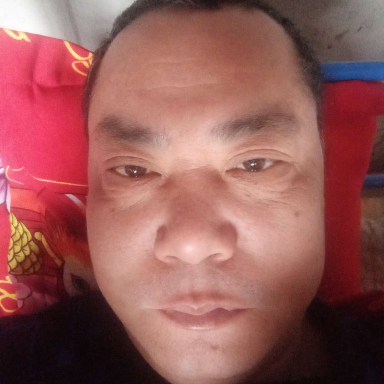 黑夜愿执着的照片