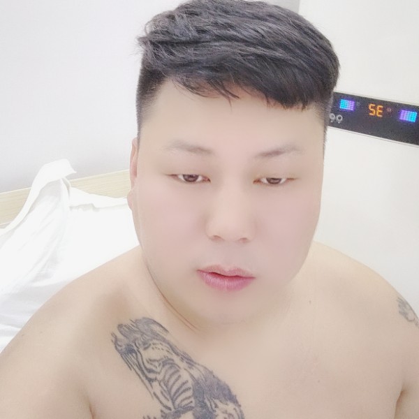来日的照片