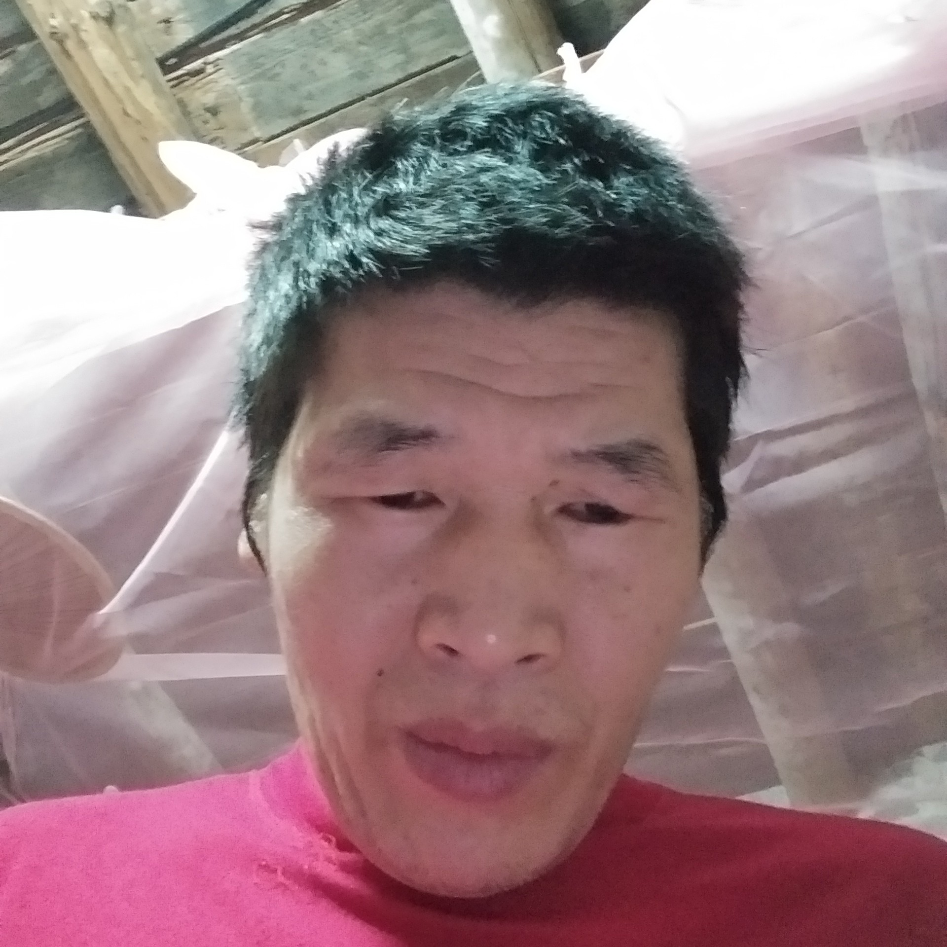 肥凉笙的照片