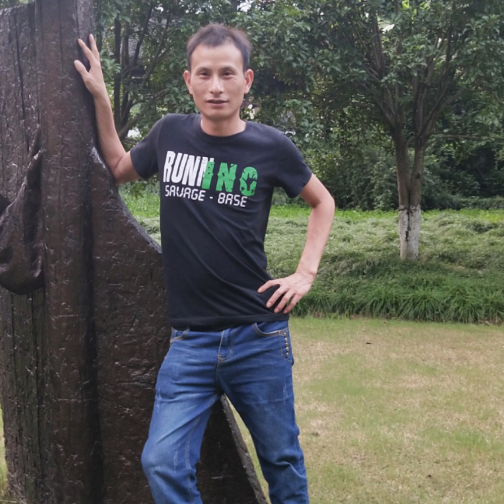 蚂蚁漫步忧伤的照片